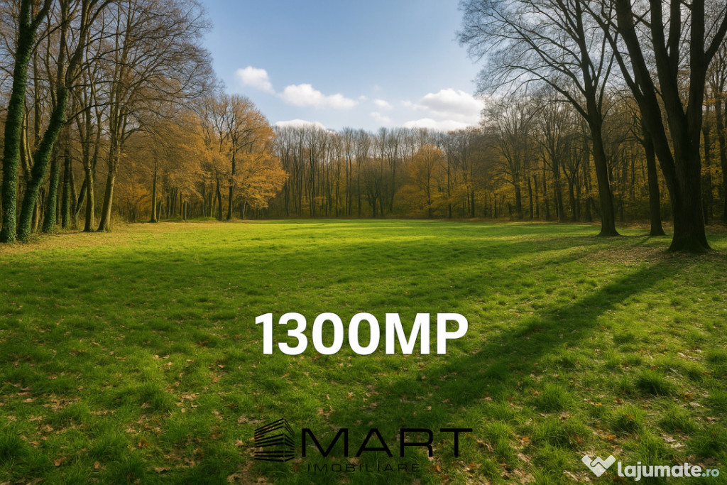 Teren cu vad exceptional 1300mp zona Subarini