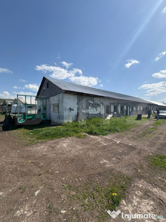 Hala Industriala 400mp utili + 400mp curte JELNA