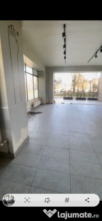 Spatiu comercial - Nicolina prima statie - la Bulevard