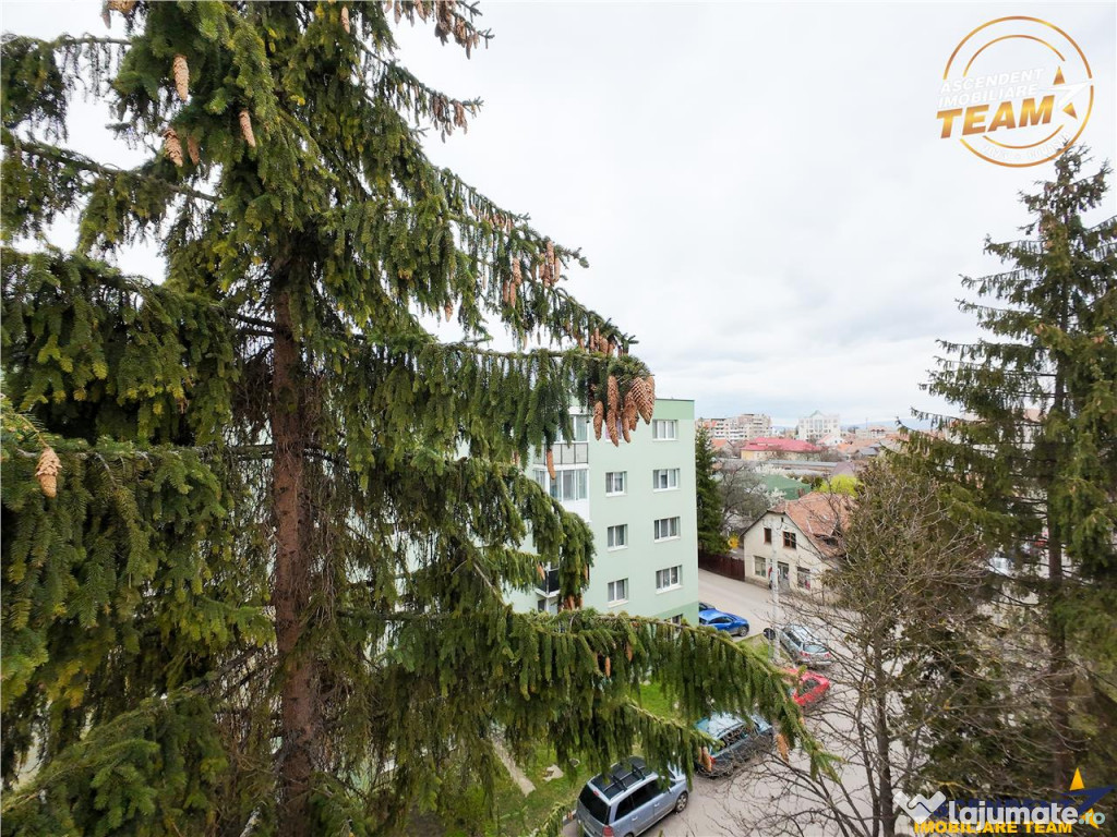 TUR VIRTUAL! Apartament 2 camere, apreciabila ariere, Lenin,
