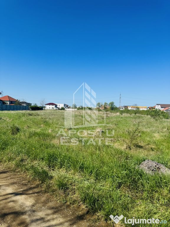 Teren 3929 mp, Ghiroda, ideal dezvoltari imobiliare, in s...