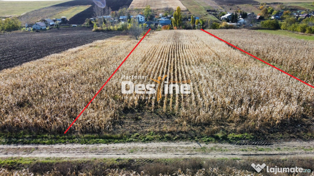 TEREN INTRAVILAN 7500 mp drum pietruit zona de case Cosițen