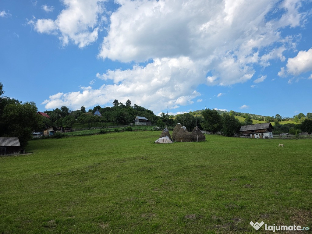 Teren intravilan parcelabil 6312 mp - minim 1000 mp - Rucar, Argeș