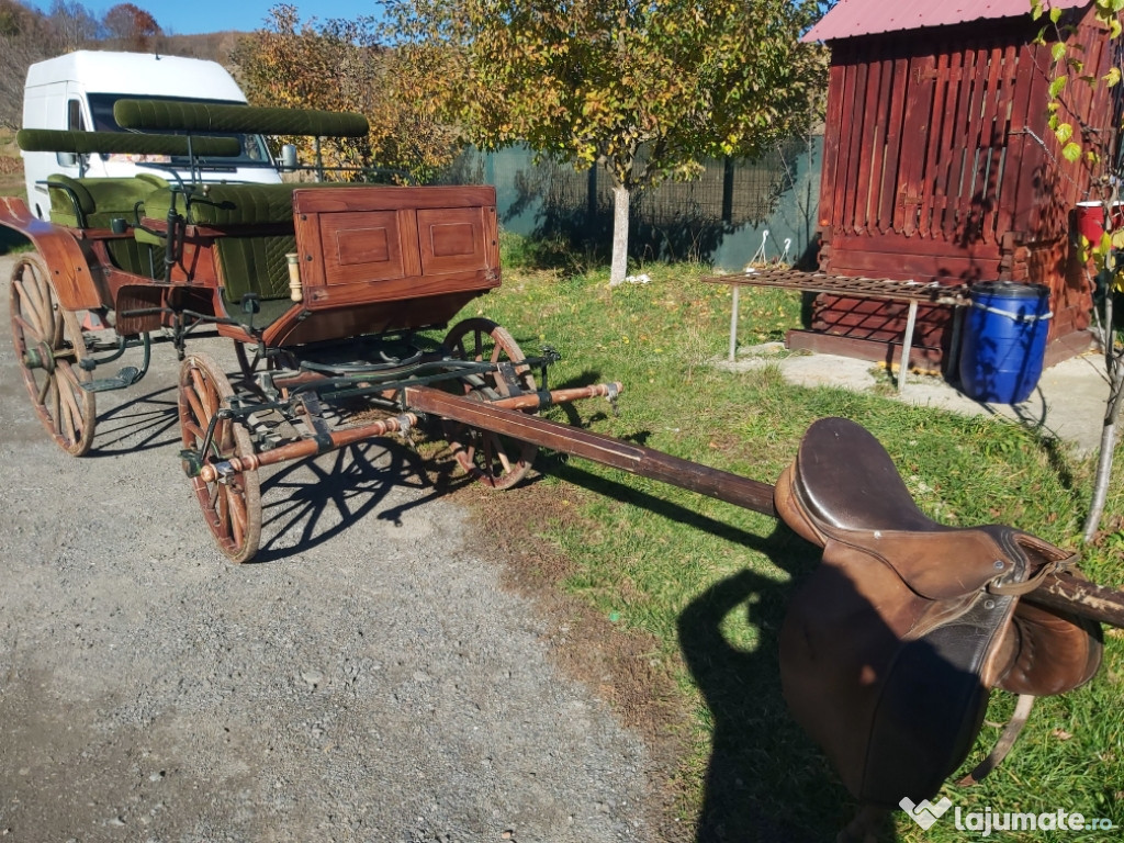 Trasura Praha import Germania