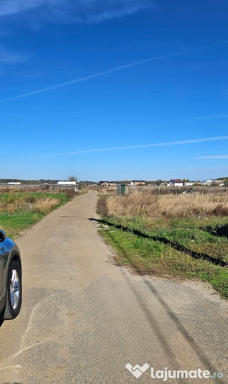 Teren Comuna 1 Decembrie str. Tuberozelor 733mp