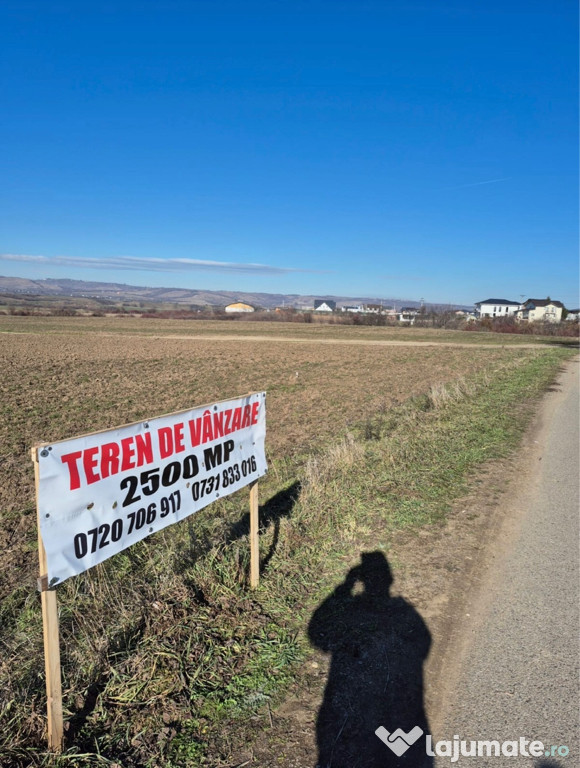 Teren zoma chitorani-bucov 2500mp