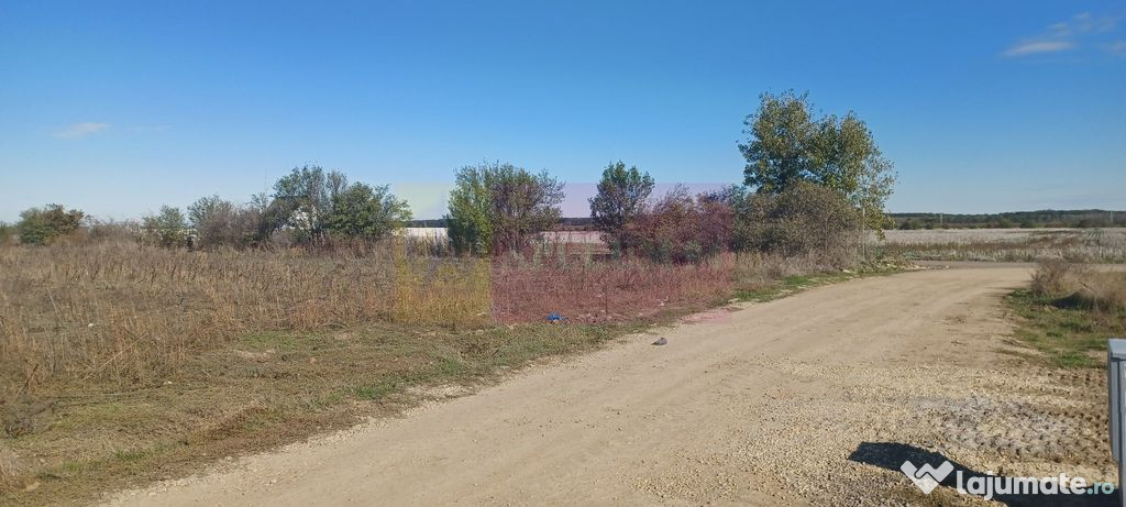 Săbăreni, teren rezidential 6290 mp, cu 52m FS, utilit?...