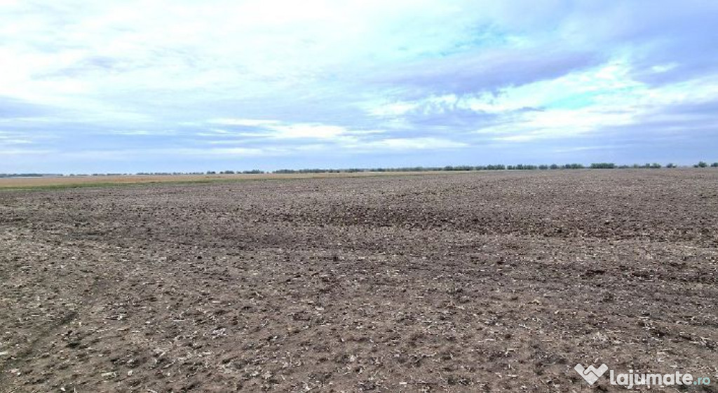 Teren extravilan, Comuna Valcele, Jud calarasi