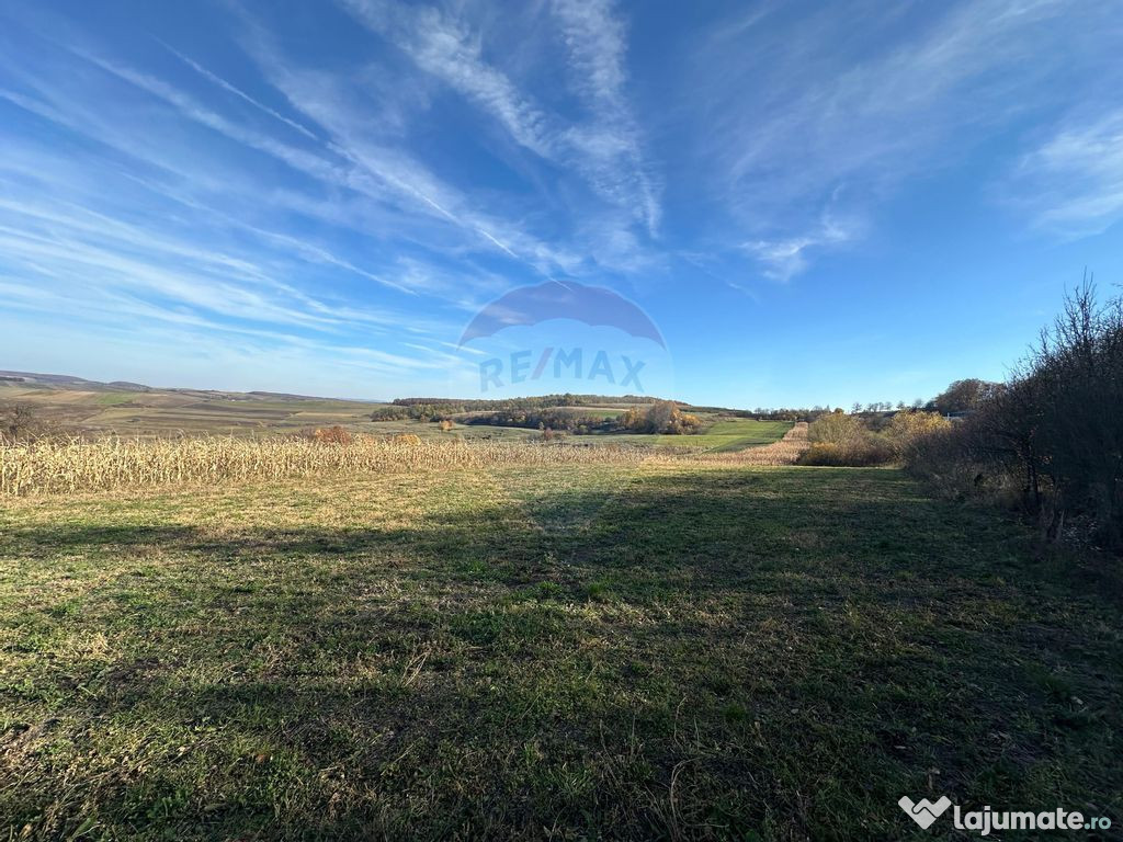 DE VANZARE - teren in ograda