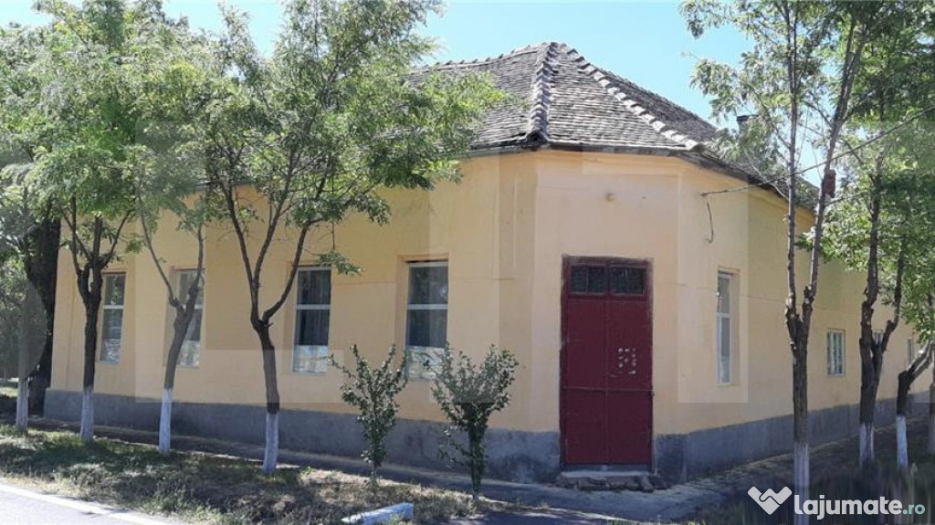 ???? Casa mare de vanzare Checea 220mp