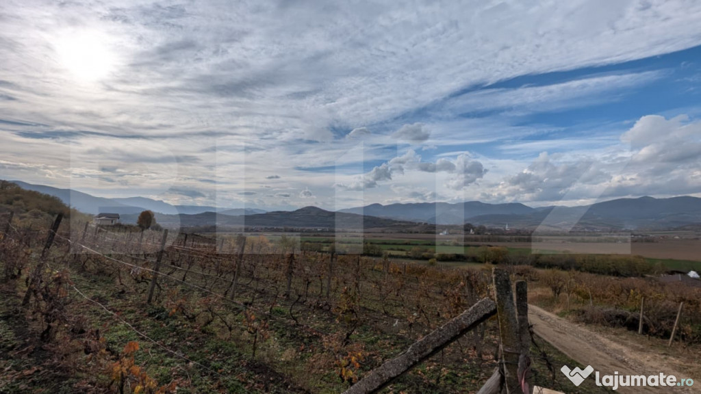 Teren pretabil pentru cabana, cu view