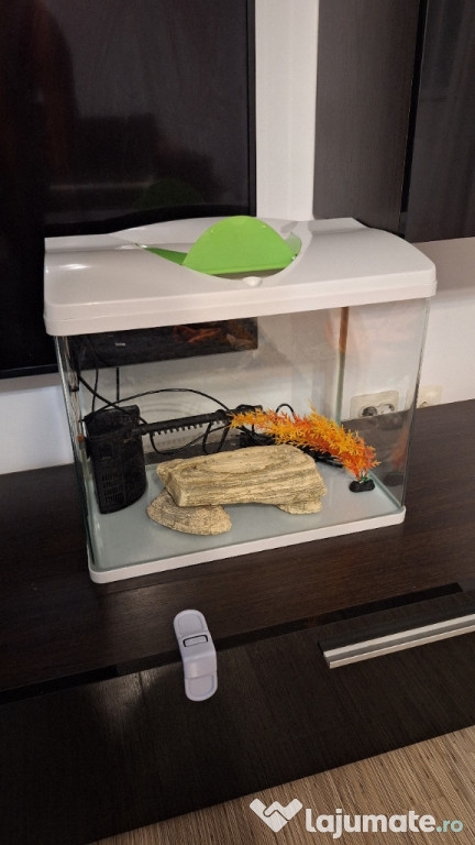 Acvariu 50 litri complet