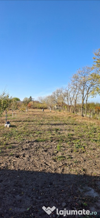 Teren intravilan 1565mp