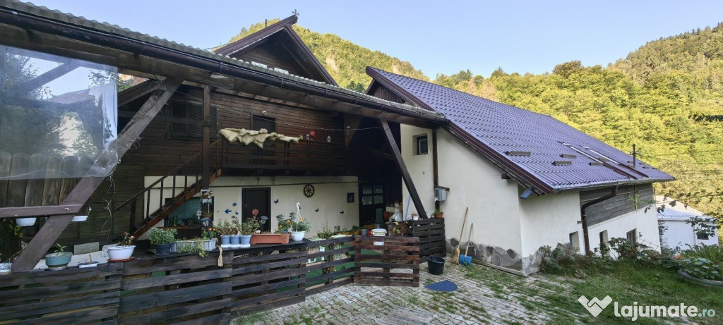 Vila/ pensiune - 11 camere - Moieciu de jos