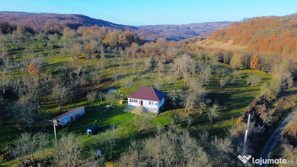 De vanzare casa traditionala renovata-teren mare si poten...