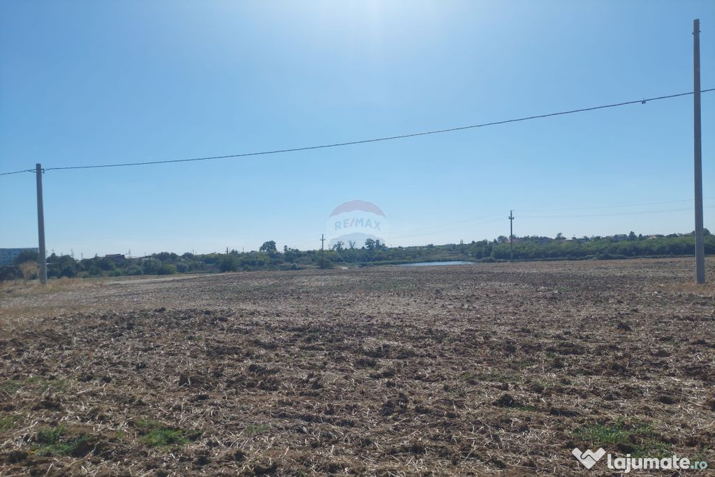 Teren de vânzare – Balotești, Strada Lacului, ansambl...