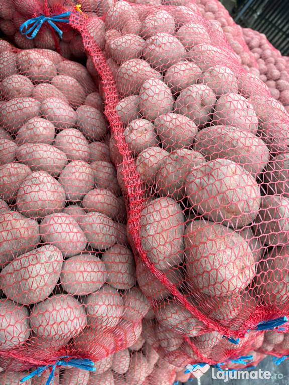 Vând Cartofi Consum Rosu