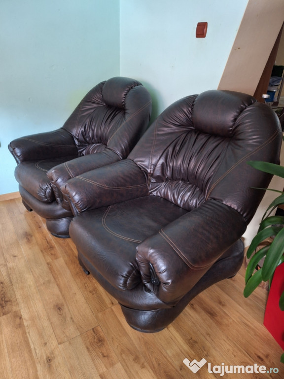 Fotolii piele ecologică