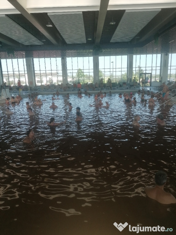 Anvelope goodyear 225 45 r17