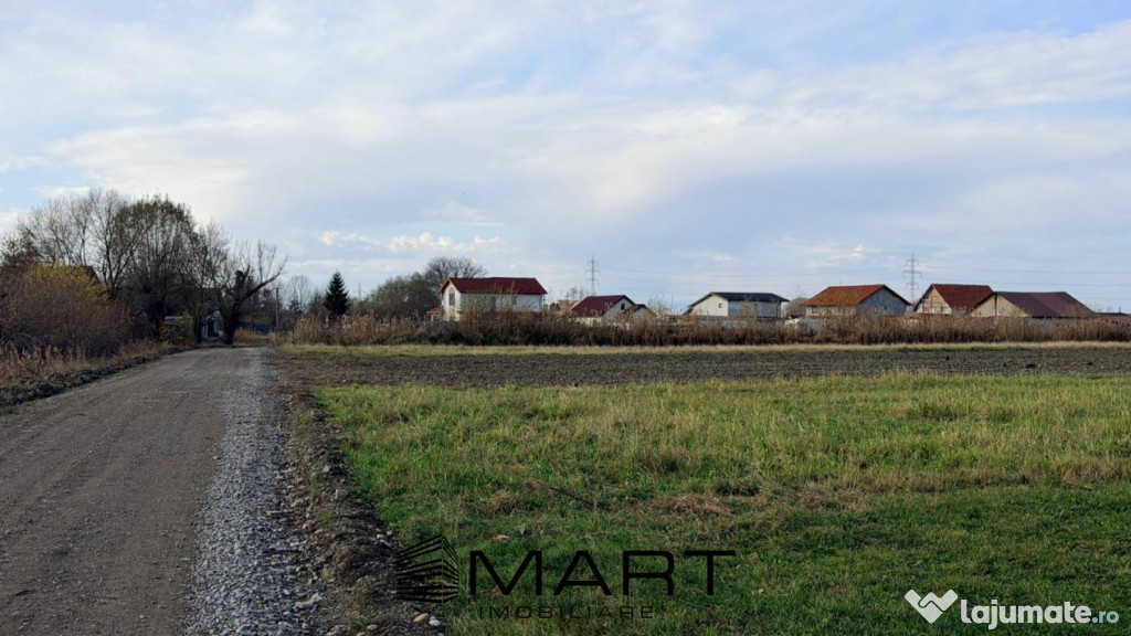 Teren Extravilan 15.000 mp Prejmer