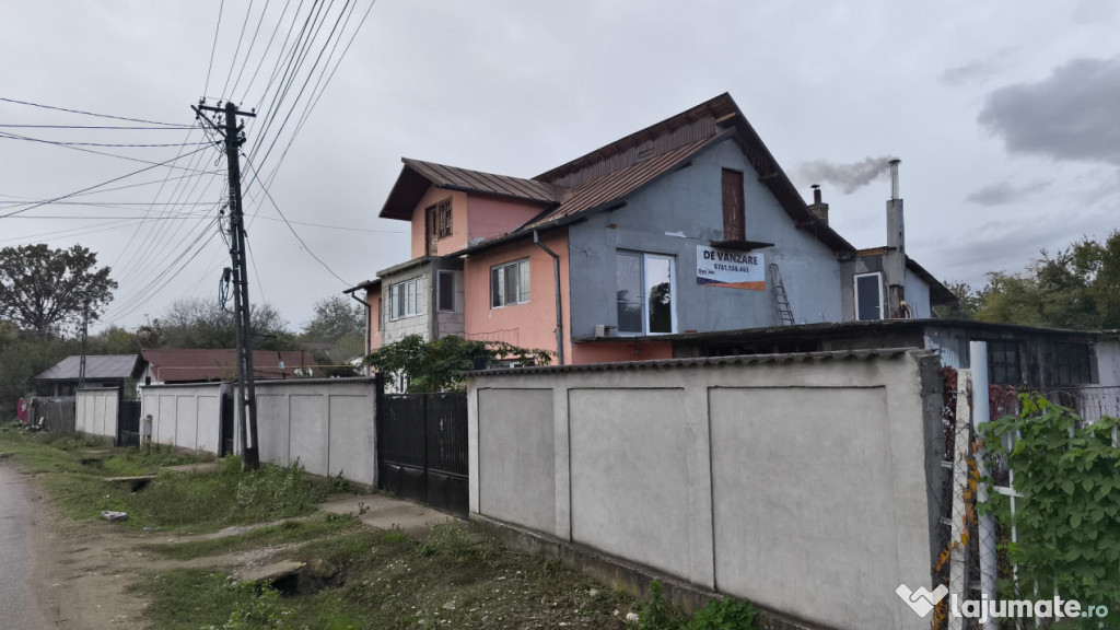 Constructie S+P+1E+M si teren 1000 mp, I.L. Caragiale, Dambo