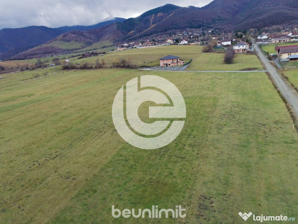 Teren intravilan în Tocile - 4354 m² - 2 fronturi - ofert?