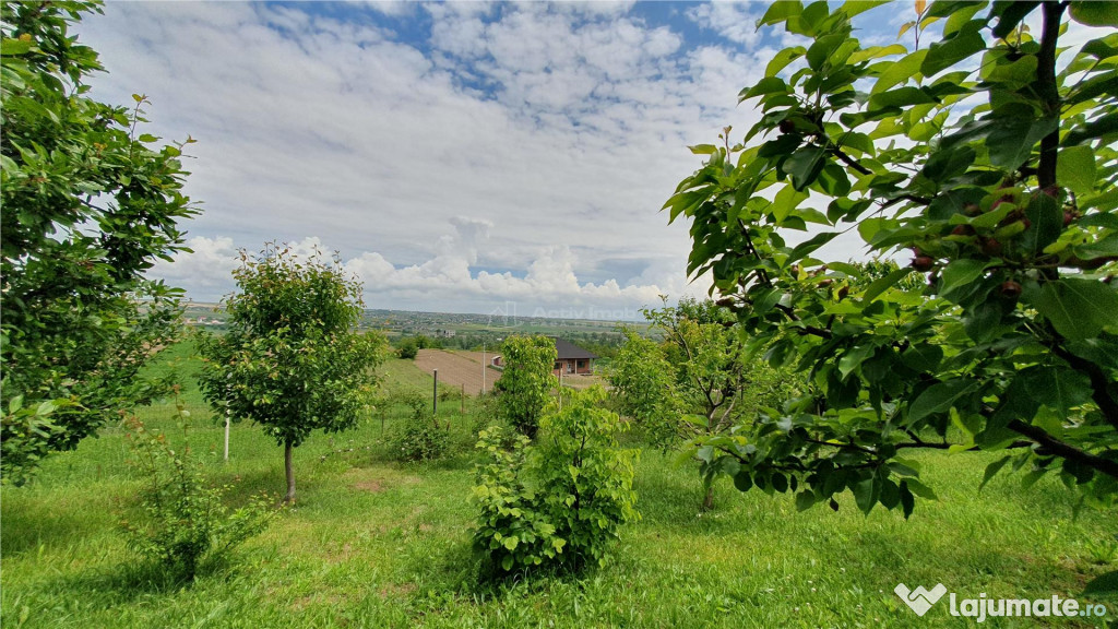 Teren intravilan - 2400 mp - 3 cabane din lemn - Lisaura