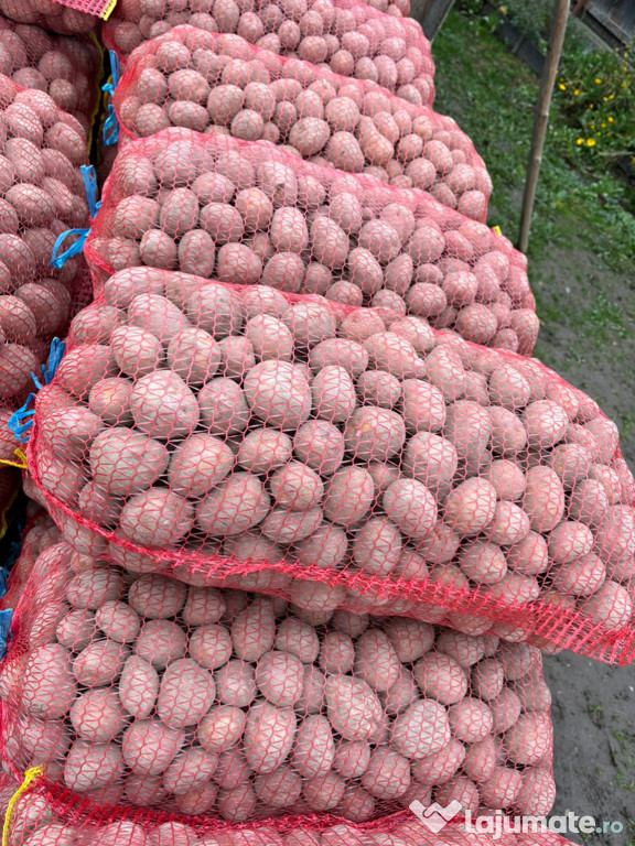 Cartofi Sāmântā Rosu