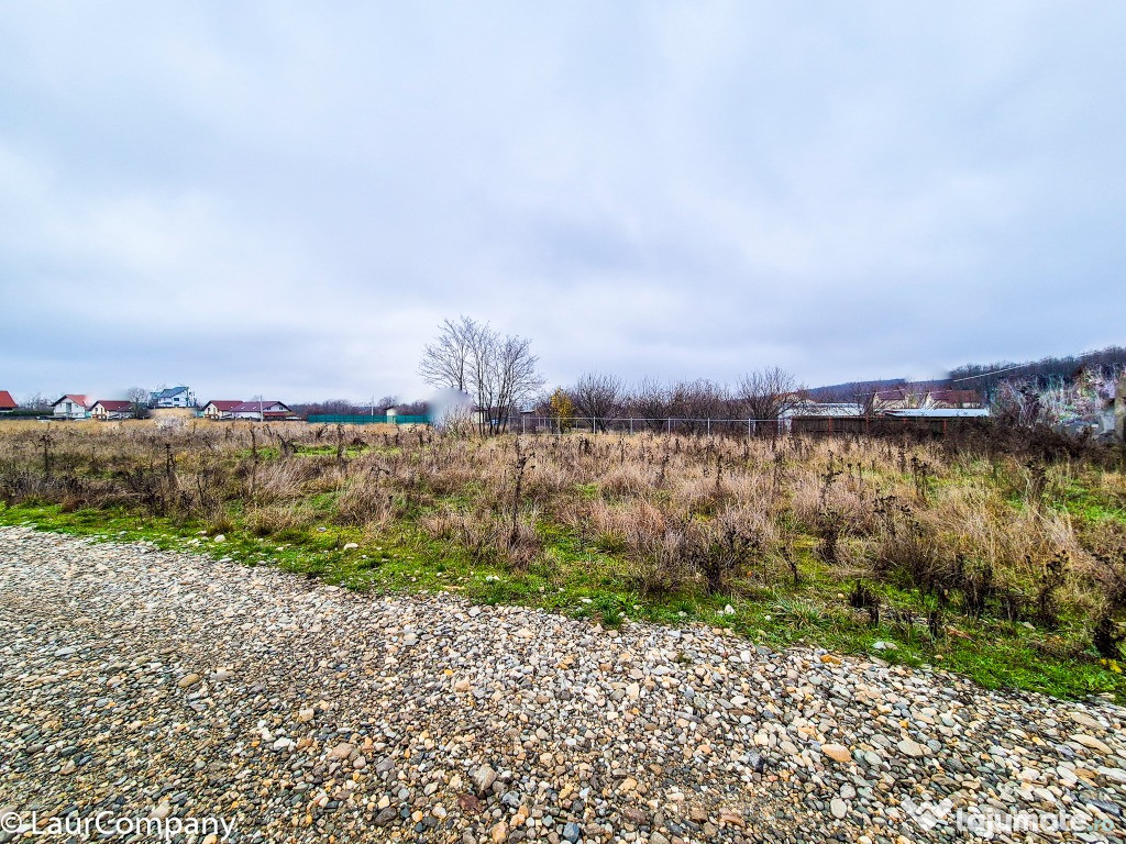 Teren intravilan Smeura Arges