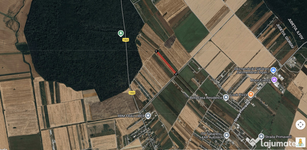 Teren Sabareni langa padure 10 minute pana in Bucuresti 6800mp