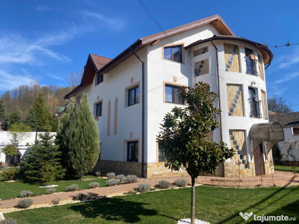 Domeniu de vanzare, Baile Govora(Pausesti-Otasau) cu teren d