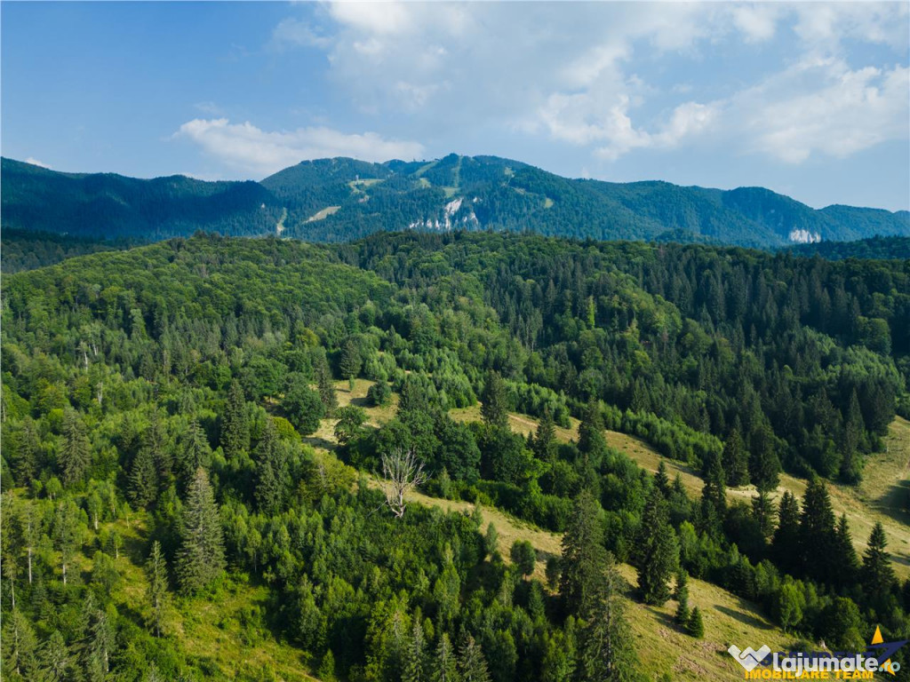 Film!!Punct de intalnire cu natura! Poiana Brasov - Rasnov,3