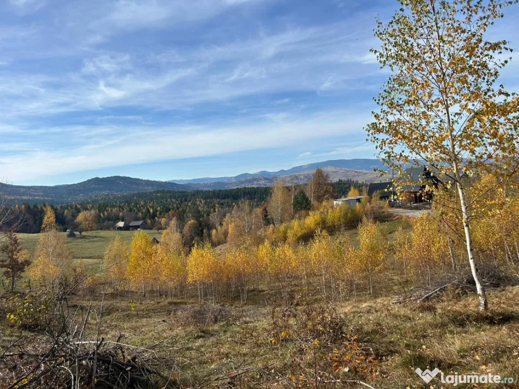 Teren in Călățele Padure 4488mp