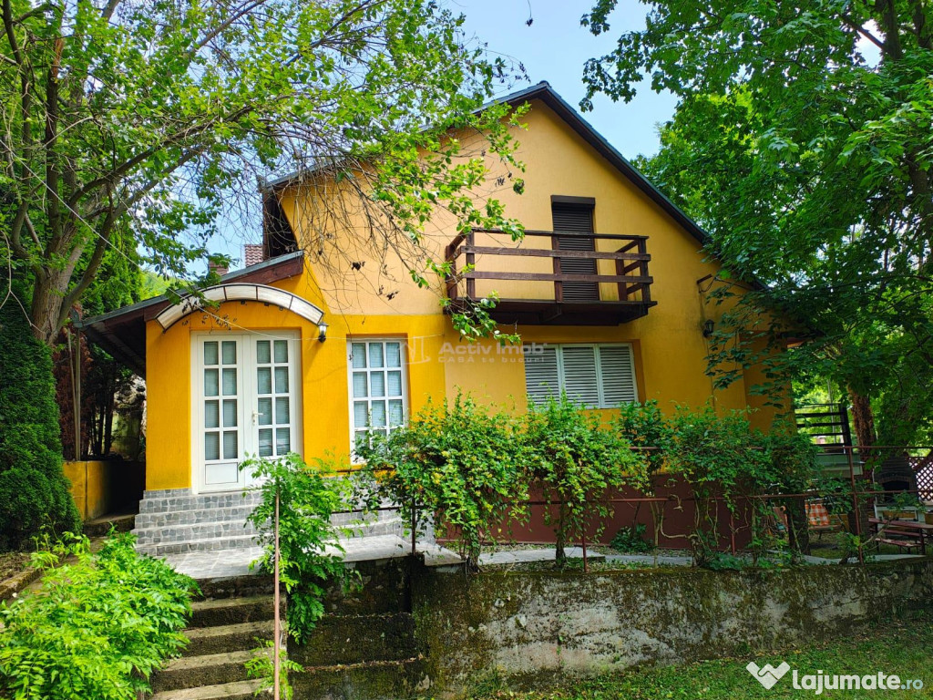 Cabana ta de vis #238;n inima naturii – Padurea Neagra ...