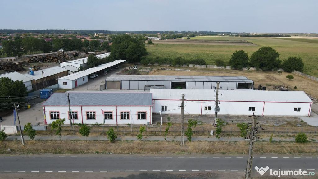 Hale depozitare/producție 1.600 mp si 10.000 mp treren ?...