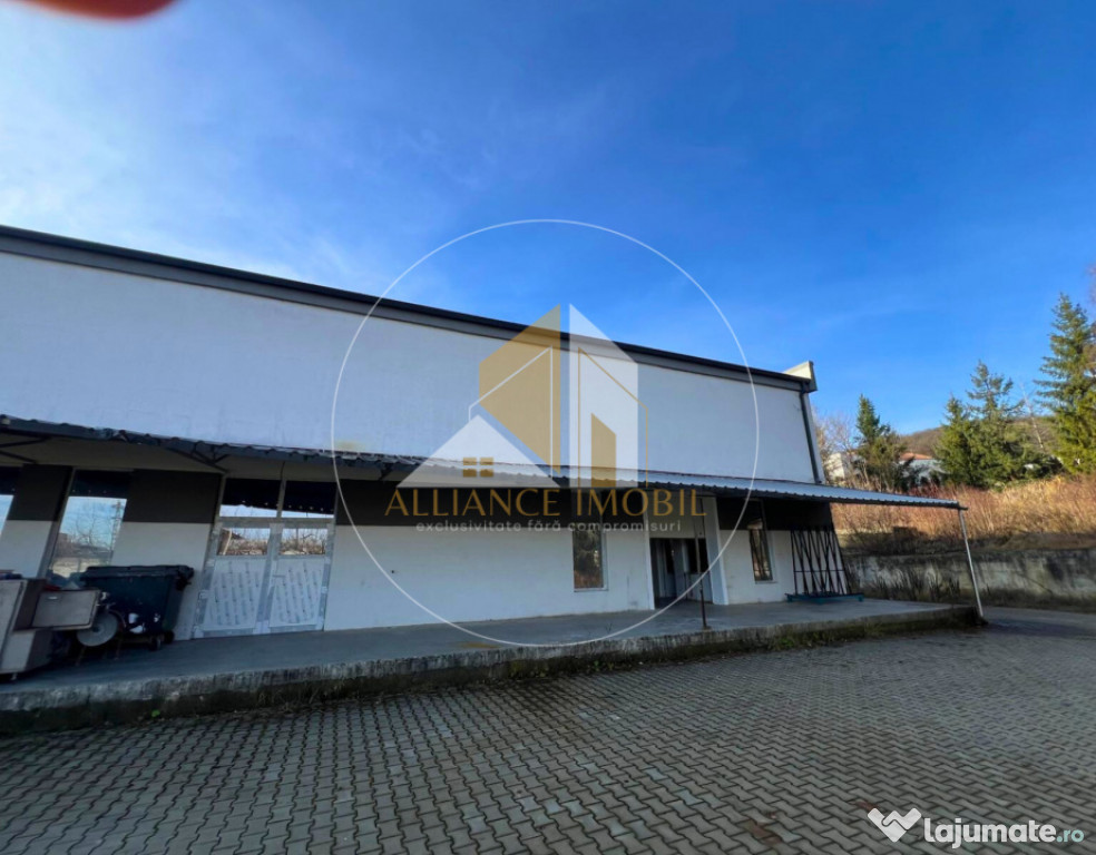 Spațiu industrial cu utilizare mixtă(producție ,depozit,