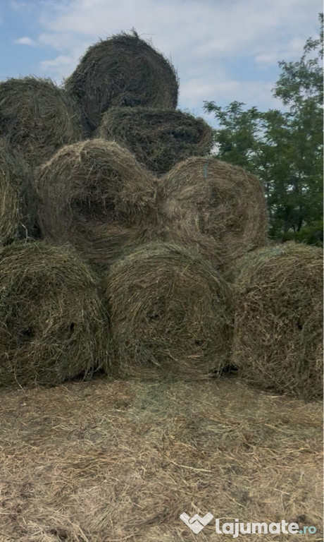 Vând baloți -diferite tipuri