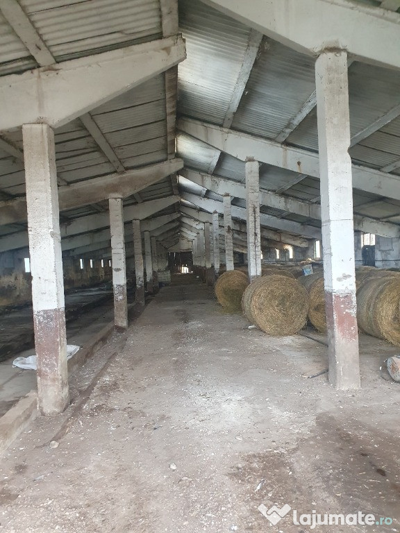 Vând GRAJD (Complex) fost CAP