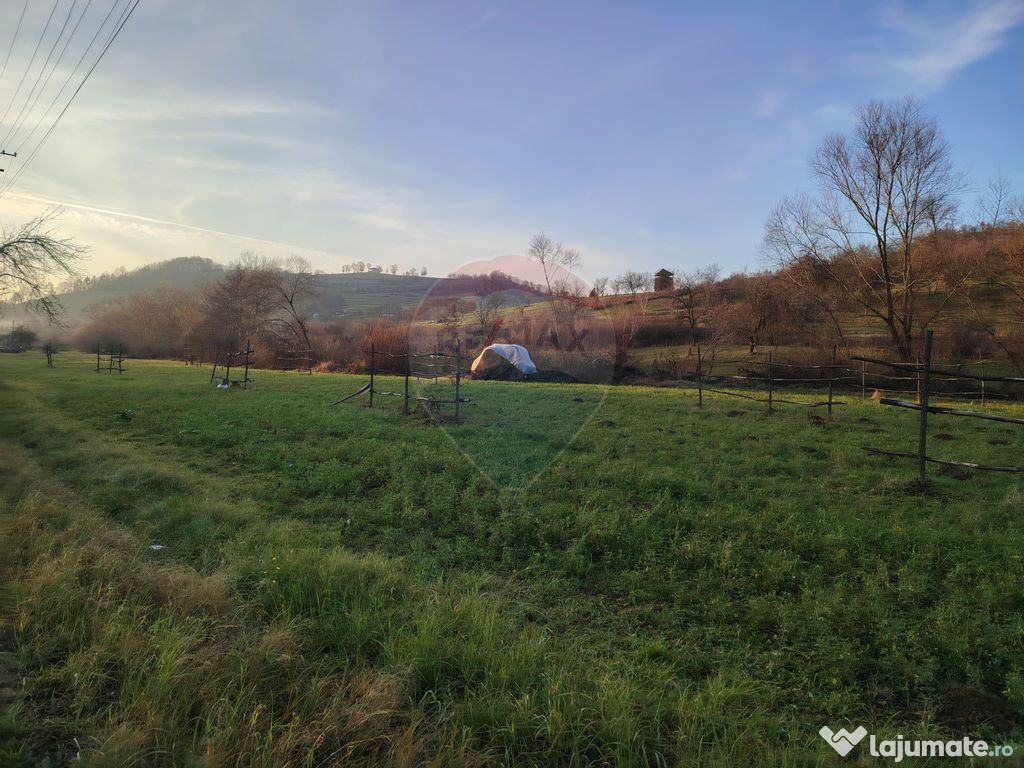 COMISION 0% Teren intravilan de vanzare in Barsana (26 ARI)