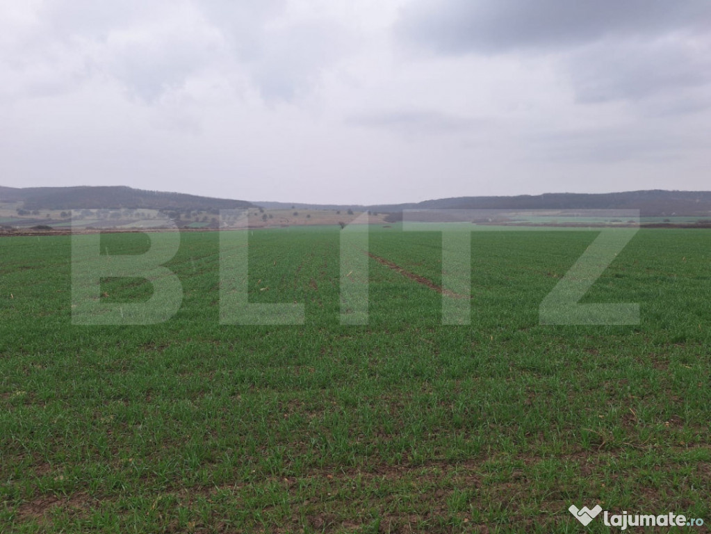 Teren extravila CUGIR 10.000 mp