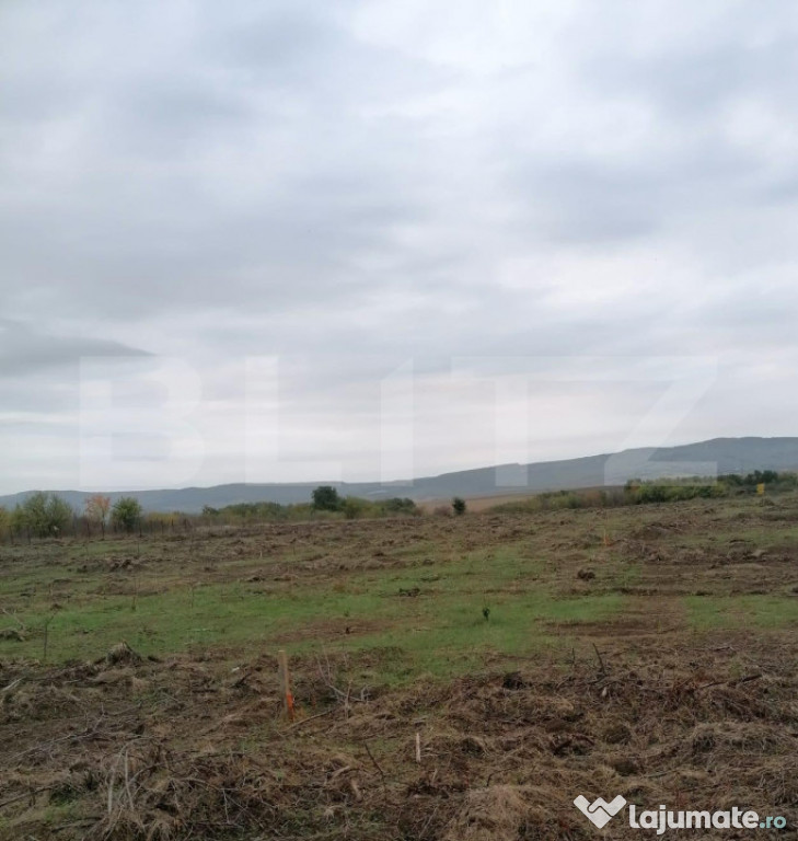 Teren 4500 mp intravilan, TOMESTI-GORUNI