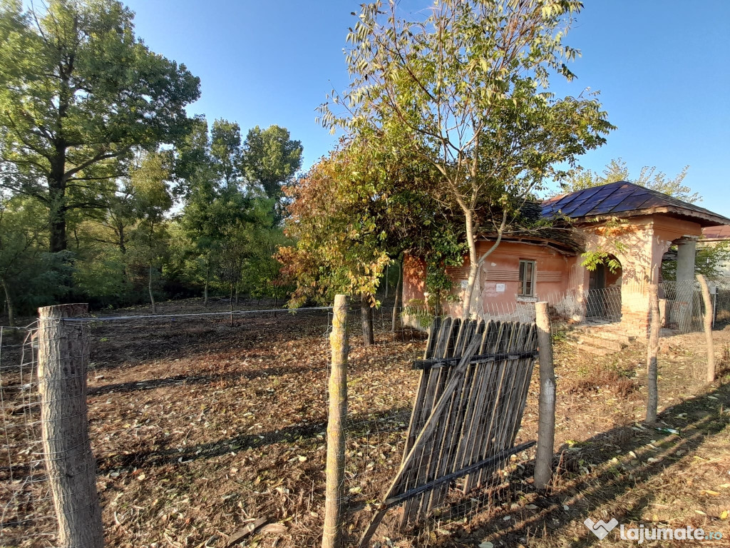 Teren 2900 m², com. Salcuta, Jud. Dolj