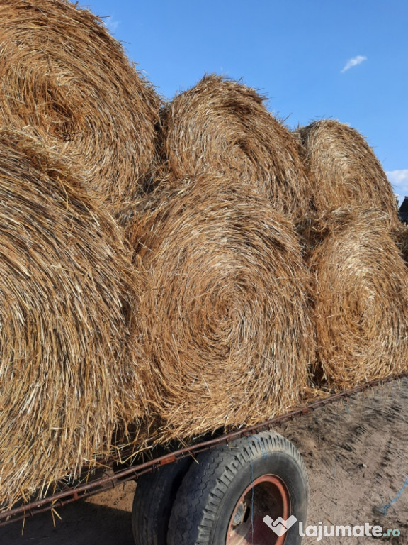 Vând baloți rulade