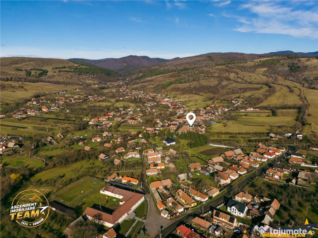 FILM! Domeniu de 6.221mp, livada pomi fructiferi casa si ane