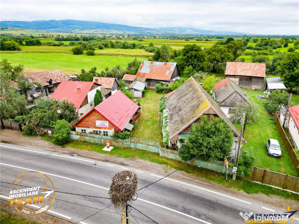 FILM! Domeniu de 1.660mp,cu doua case, atelier si anexe,Lemn