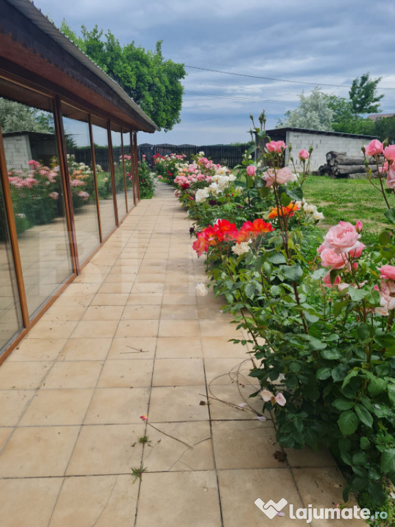 Casuta de vanzare, 149 mp utili, teren 1700 mp, Targoviste-z