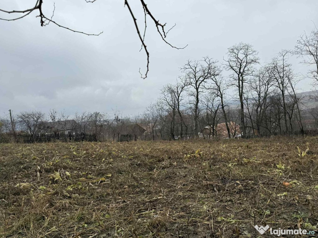 Teren Ultracentral in Rotunda