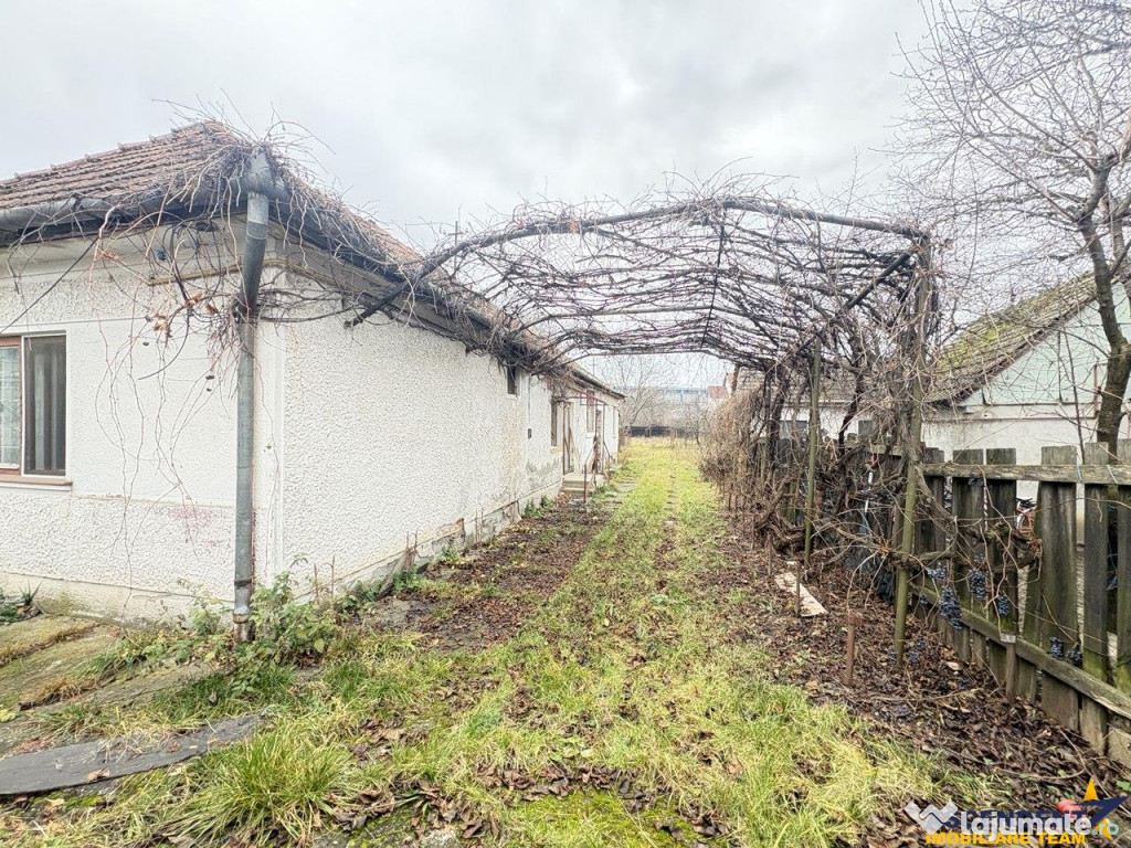 Casa cu 1.924 mp teren, de inchiriat, Sfantu Gheorghe