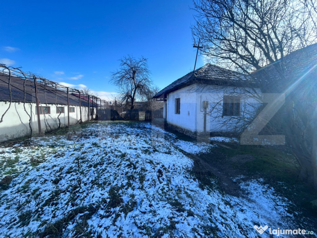 Teren Bd Ecaterina Teodoroiu 1260mp