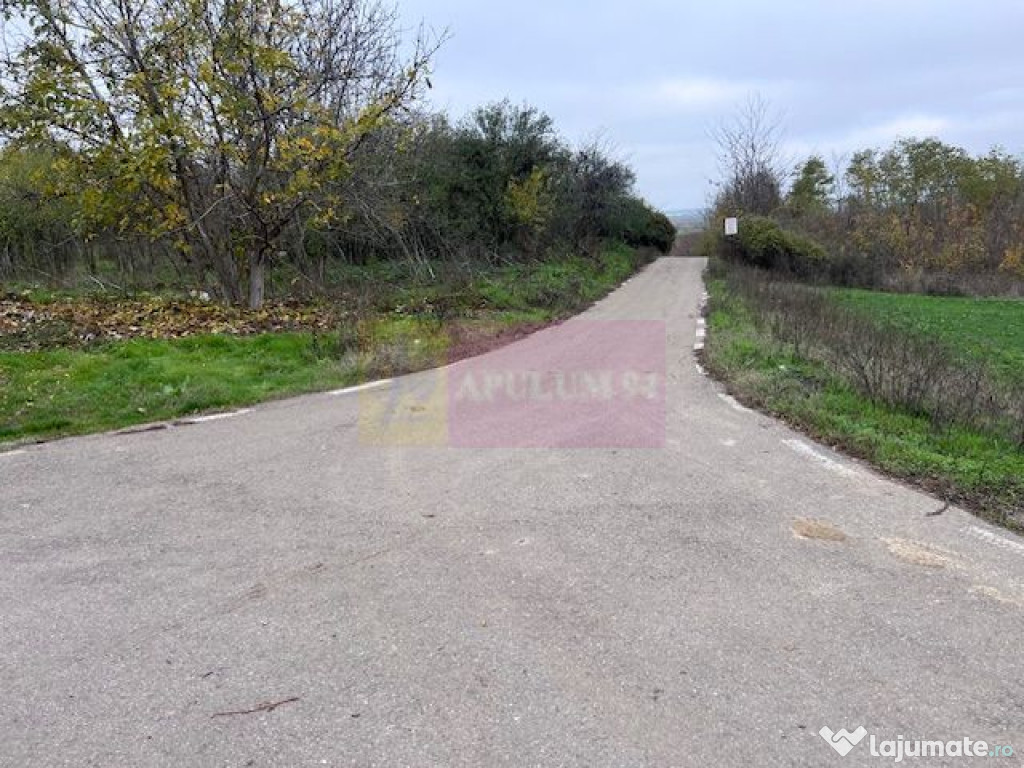 Teren Comana- strada Funieru.